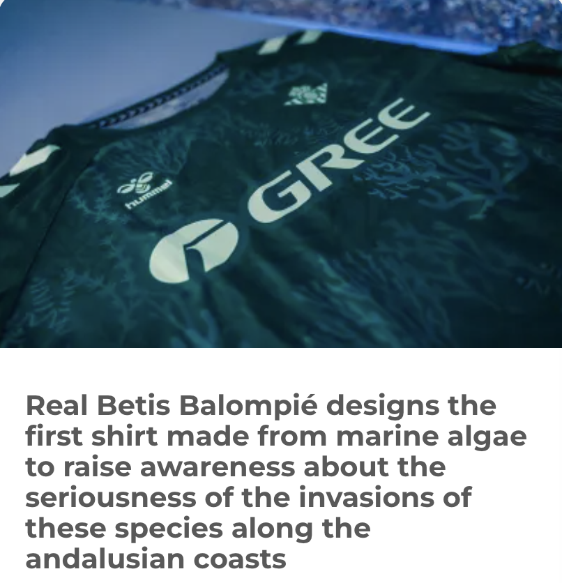 Pigiama Ufficiale Del Real Betis Balompié, Set Unisex Per Adulti, Morbido E Confortevole - 2